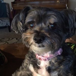 Meet your Posher, Lori